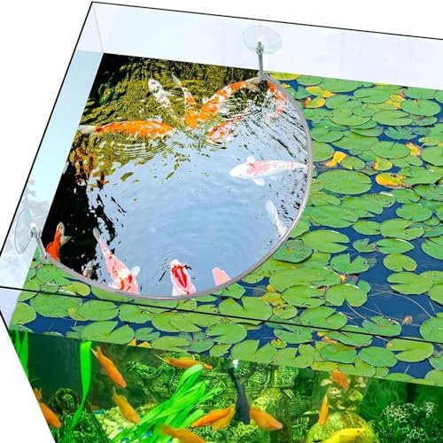 CQEAZ Acquari decori Acquari Pianta Galleggiante Pianta Galleggiante Recinzione Pesce Anelli di Alimentazione per Acquari Househould Fishtank Forniture