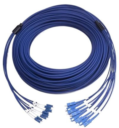 YGESZZAY Cavo in Fibra Ottica Armato, Fibra Ottica for Esterni, Cavo Patch monomodale Blu, LC UPC SC, 4/6/8 Core, Ftth, 10 m, 20 m, 30 m, 40 m, 50 m(6-Core 6LC-6LC 10m)