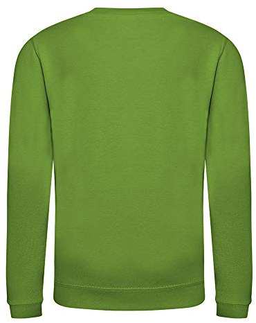 AWDis Boy's Kids Sweatshirt