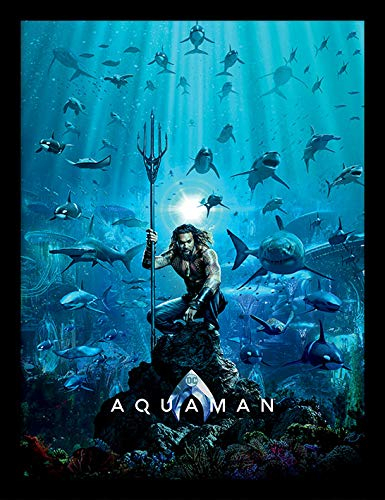 Aquaman FP12397P-PL Kunstdrucke, Mehrfarbig, 30 x 40cm