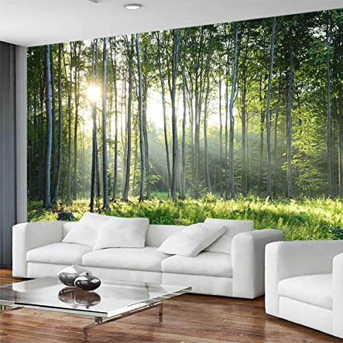 Reyhui Sunshine Forest Mural Wallpaper Landscape Tree Wallpaper Large Nature Scenery Wall Mural for Living Room (not self-Adhesive)
