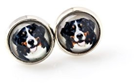 Art-Dog Ohrringe mit Hundefotos | Handgefertigter Schmuck | Durchmesser 12mm | Antiallergisch ohne Nickel, Farbe Silber | Geschenkidee | Bernese Mountain Dog