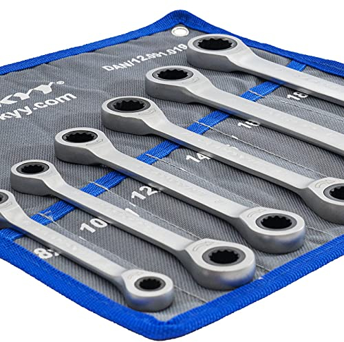 HASKYY Juego de llaves de carraca dobles (6 piezas, 8 x 9, 10 x 11, 12 x 13, 14 x 15, 16 x 17, 18 x 19, en bolsa de 8-19 mm)