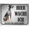 INDIGOS UG - Deutsche Dogge - Schild bedruckt - Hier wache ich - Aluverbundplatte Edelstahl Look - ab 20x15 cm - Spruch - Deko Geschenkidee für Ihren Hund - Zaun - Türschild