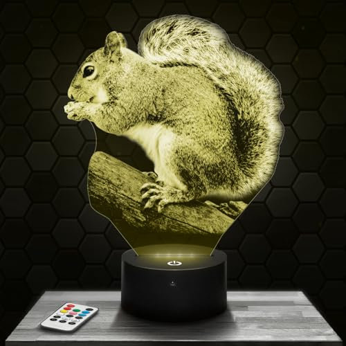 Lampephoto.fr - Eichhörnchen 3D Lampe, Touch Nachtlicht, Dekoration Wildtier-Kollektion, Geschenkidee pour Männer und Frauen, Nachtlicht Erwachsenendekoration pour das Schlafzimmer