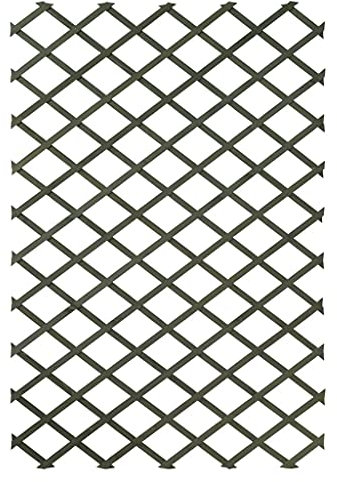 Nature 2X Bois Palissades de Jardin 100x200cm Trellis Roses Plantes Grimpantes
