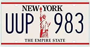 OPO 10 - Placa DE Licencia DE AUTOMÓVIL USA - Réplica en Metal 30x15 cms: Nueva York (C36)