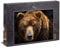 Ulmer Puzzleschmiede - Animal Portrait Puzzle 'Grizzly' - Classic 1000pc Jigsaw Puzzle - Modern Photographed Bear in Close Up