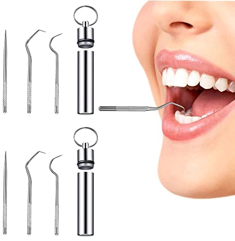 2PCS Stainless Steel Toothpicks Reusable Cleaning Tooth Hook Metal Toothpicks with Holder with Keychain Box for Outdoor Picnic Camping Traveling Supplies