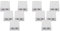 Pyatofy 10X Prise RéSeau RJ45 - Prise Double Murale BlindéE MontéE en avec Port de Câble LAN Ethernet CAT6A pour Câble RéSeau