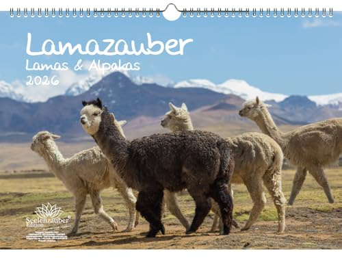 Lamazauber DIN A3 Kalender für 2026 Lama Alpaka - Geschenkset Inhalt: 1x Kalender 1x Weihnachtsanhänger 1x Grußanhänger (gesamt 3 Teile)