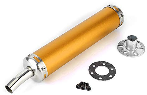 Edelstahl Schalldämpfer 20mm für 2-Takt Motorrad - Abgasanlage Auspufftopf mit Lärmreduktion (Gold)