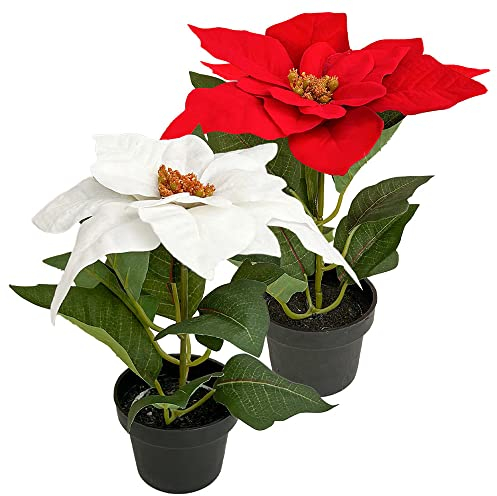 Murago - Künstlicher Weihnachtsstern ca.20cm - Rot & weiß - mit im Topf Kunstblumen Kunstpflanzen Blümchen Topfflanze für Weihnachten weihnachtliche Weihnachtsdekoration Blüte