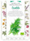 Semillas Medicinales - Eneldo - Semillas listas para plantar.