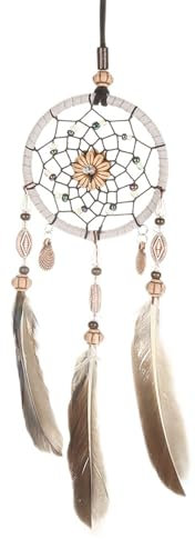 Brrnoo Dream Catcher Auto Rückspiegelzubehör, Klein Traumfänger für Auto, Wand, Schlafzimmer