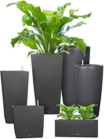 Pflanzwerk® ÖKOSYSTEM Pflanzkübel Square - Blumentöpfe Übertöpfe mit BEWÄSSERUNGSSYSTEM - 55x30x30cm ANTHRAZIT *Indoor & Outdoor Blumenkübel* *UV-Schutz* *Premium Markenqualität*