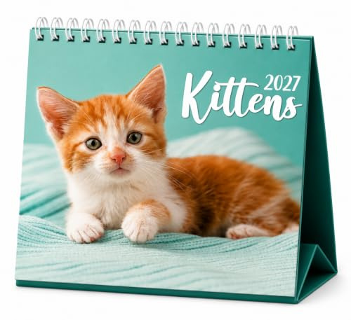 2024 Tischkalender mit Monatsansicht, umklappbar, für Zuhause, Büro, Schule, quadratischer Planer, Größe 17 cm x 17 cm (Kätzchen)