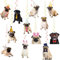 24 Pcs Mops Hängende Wirbel Mops Spiralen Decke Wirbel Dekorationen Mops Hängende Dekorationen für Mops Hund Geburtstag Dekorationen Party Zubehör