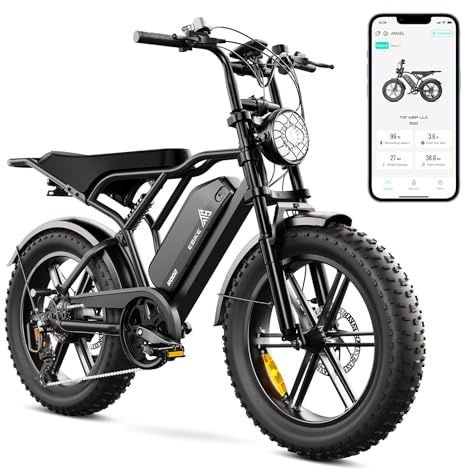 TST E Bikes Mountainbike Fatbike 20 Zoll Elektrofahrrad Herren Damen Elektro Fahrrad mit APP-Steuerung und Federung, E Fatbike 48V 15Ah/ 25Ah Batterie 250W Motor 25km/h E Fahrrad