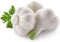 TOYHEART 50 Stück Premium Blumensamen, Knoblauchsamen Frisch Stark Duftende Essbare Gewürzpflanzen Gemüsesämlinge Für Die Küche Weiß