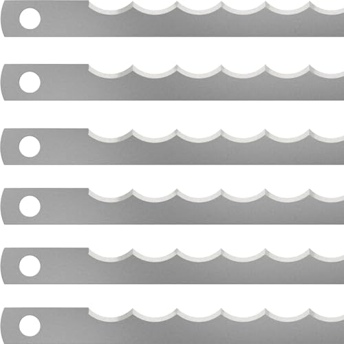 LEHRMANN Coltelli per affettare il pane (50 pz.) 315 x 13 x 0,5 mm con foro senza rivestimento