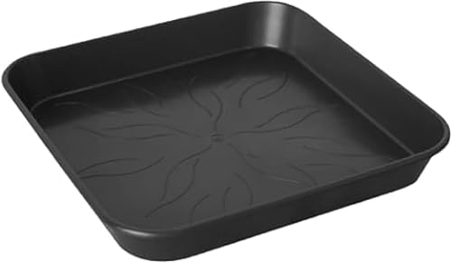 GROWMANIA Pack 5 Platos Cuadrados para Macetas11 litros 25x25 - Plato Plástico para Maceteros