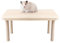 Sporgo Hamster Plattform: Hamsterplattform aus Holz, Hamster Zubehör Hamster Käfig, Hamster Spielpodest für Zwerghamster, Holz Hamster Kletterplattform Beißplattform für Hamster Heim