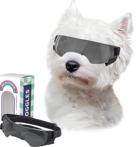 CEASELESLY Gafas de Sol para Perros,Gafas Perro Protección UV,Impermeable Viento,Gafas de Sol para Perro con Correa Ajustable,adecuadas para Perros pequeños y medianos (Plata)