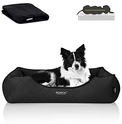BedDog Premium Orthopädisches Hundebett WUFFI, Hundesofa aus Kunstleder, Abnehmbarer Bezug, Kuschel-Decke Zugabe - Black (schwarz)