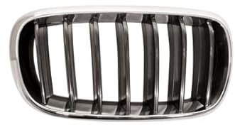 DM Autoteile 100463 Kühlergrill Kühlergitter Grill rechts kompatibel für BMW X5 F15 F85 Baujahr 2013-2018