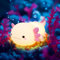 Axolotl Night Light, Axolotls Lamp Gifts for Women, Teen Girls, Baby, Cute Silicone Axolotls Light, Toddler Night light Timing Function, Dimmable, USB Rechargeable Night Light Kids Bedroom Decor