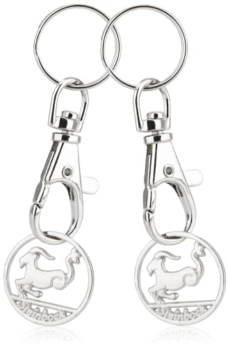 Robin Goods® 2X Porte-clés Signe du Zodiaque Puce de Caddie Capricorne, Pendentif Signe du Zodiaque pour Le Caddie avec Puce de Courses Amovible, Mousqueton et Porte-clés (Capricorne 2X)