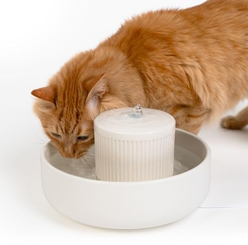 LucyBalu® Trevi Trinkbrunnen für Katzen aus Keramik | Katzenbrunnen für Katzen | Katzentrinkbrunnen | Wasserbrunnen | Katzenbrunnen aus Keramik | Wassernapf | Trinknapf | Weiß