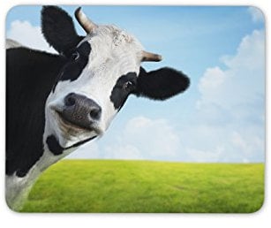 Black & White Cow Mouse Mat Pad - Funny Cheeky Animal Fun PC Computer #8273