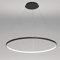 1-Licht Kreis Pendelleuchte LED Metall Acryl Kronleuchter Modern Hängend Verstellbar Hängeleuchte Für Wohnzimmer Schlafzimmer Küche,Black+WhiteLight-40cm