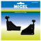 Micel 92138 Agganci zanzariera, Nero