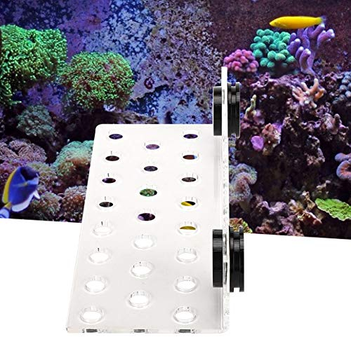 Jeanoko Coral Rack Coral Rack Halterung Coral Frag Rack Korallen gesünder wachsen Lassen 3 Verschiedene Arten Coral Frag Rack(23 Holes)