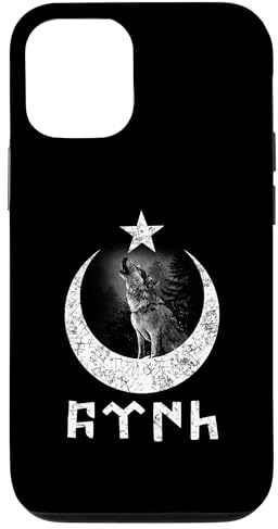 Türk Göktürk Schrift Hilal & Yildiz & Bozkurt Design Hülle für iPhone 12/12 Pro