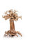 Aquarium Wood Bonsai Tree Decoration Premium Pieces Aquascaping Root Iwagumi Sava S 10x15x10cm