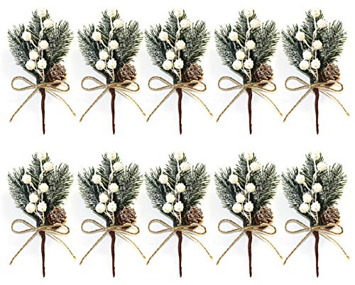 Wyi Tannenzweige, grüne Blätter, Tannennadeln, Beeren, Tannenzapfen, für Bastelarbeiten, immergrüne, Stechpalmen-Stiel, Weihnachtsdekoration (weiß), 10er-Pack, DB1561712HJX