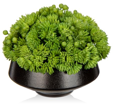 Hollyone 12CM Artificial Succulent Plants in Ceramic Pot, Small Fake Succulents for Home Decor, Decorative Faux Plant Indoor for Living Room, Shelf, Kitchen Table, Office, Bedroom, Bathroom Decoration
