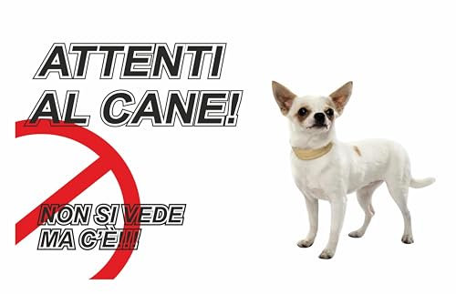 GLOBAL CARTELLO SEGNALETICO - ATTENTI AL CANE CHIHUAHUA NON SI VEDE MA C'È - Adesivo Extra Resistente, Pannello in Forex, Pannello In Alluminio (20X31 CM, Adesivo)