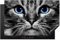 KitchenYeah© Protège Plaque Induction 81x52 cm Deco Cuisine Accessoire Pratique Protection De Vitroceramique Kitchen Gadget Chat - Noir - Blanc - Yeux - Bleu