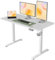 NearHub Elektrisch höhenverstellbarer Stehpult, 122 x 61 cm, Computertisch, ergonomischer Memory-Schreibtisch für Arbeit, Büro, Zuhause, Weiß
