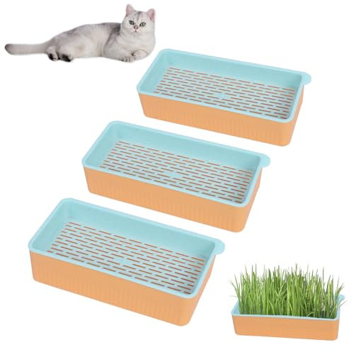 Niuoppy 3Pcs Cat Grass Planting Kit Growing, Indoor Hydroponic Cat Grass Planter, Plant Bowls for Cat Grass Catnip, Catnip Cat Grass Box No seeds (Orange)