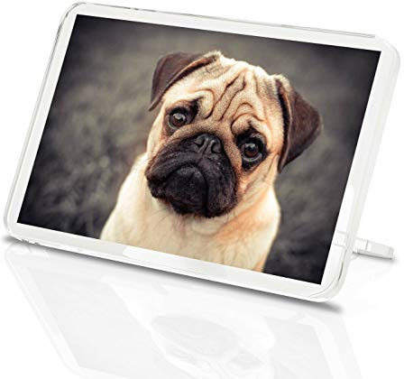 Klassischer Kühlschrankmagnet mit Mops-Motiv, 8623