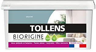 Tollens Peinture Couleurs Haute Performance à Base de Résine Biosourcée Pour Murs, Plafonds, Boiseries - Velours Gravier - 2L = 24m2