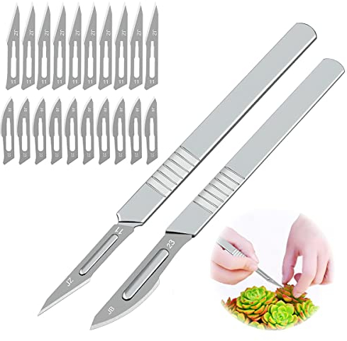XiXiRan Coltello da Innesto, Coltello Artigianale, Coltello da Intaglio della Zucca, bisturi Chirurgico, Coltello da Innesto Giardino Comprese 20 Lame di Ricambio