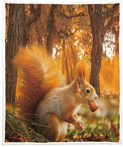 Violetpos Warm Sherpa Sofaüberwurf Decke 150x200 cm Dicke Kuscheldecken Sanft Flanell Weich Fleecedecke Bettüberwurf Herbstwald Eichhörnchen Tiere