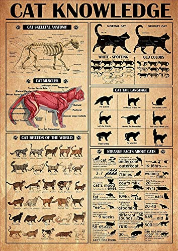 Blechschild aus Metall, Katzen-Wissensposter, Katzen-Skelett-Anatomie, Katzenmuskeln, Katzenrassen der Welt, Katzeninformationen, Katzen-Poster, Metallschild, Vintage-Wandkunst, Zuhause, Büro, Bar, Cl